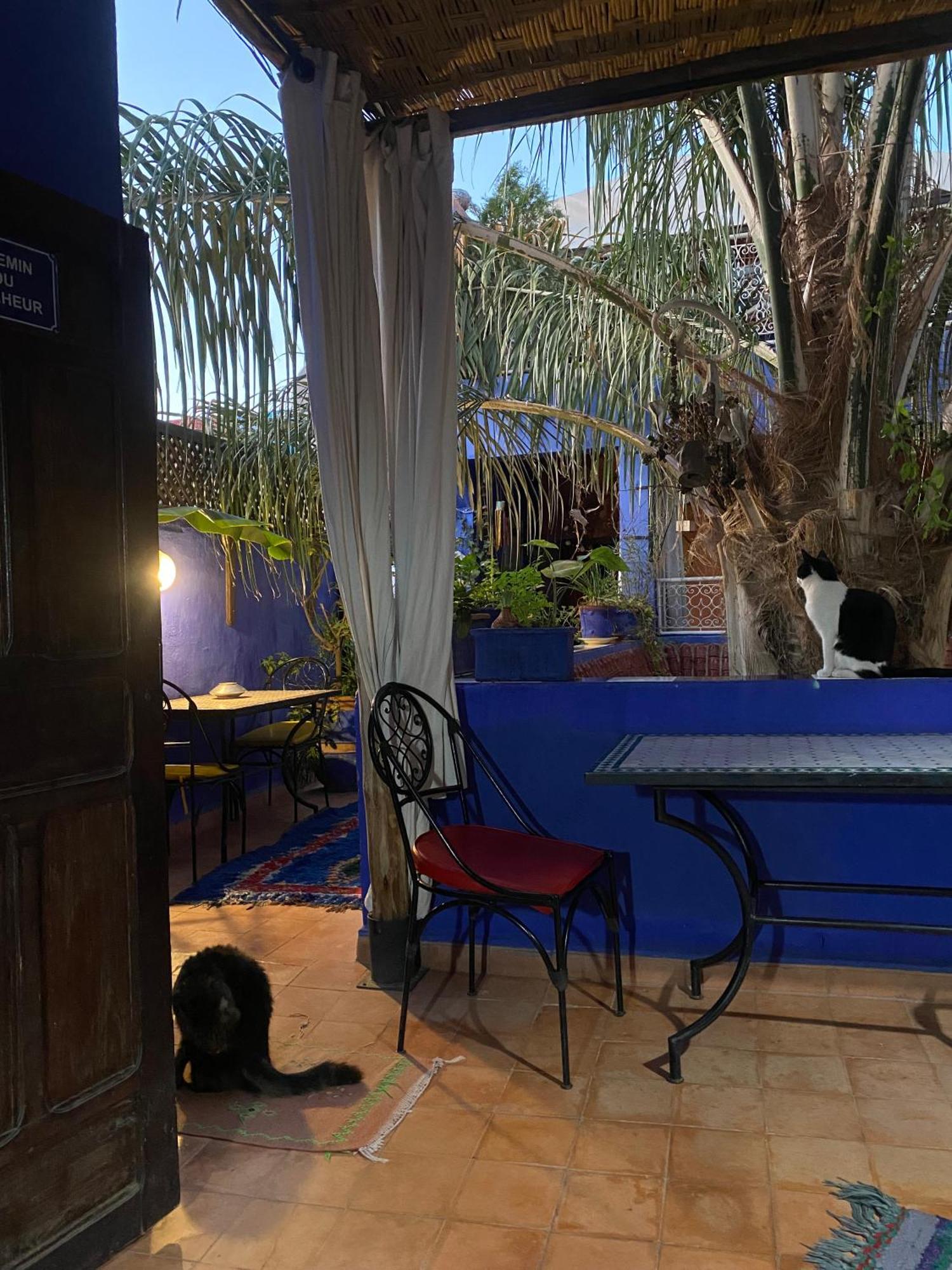 Riad Alamine Marrakesh Exterior photo