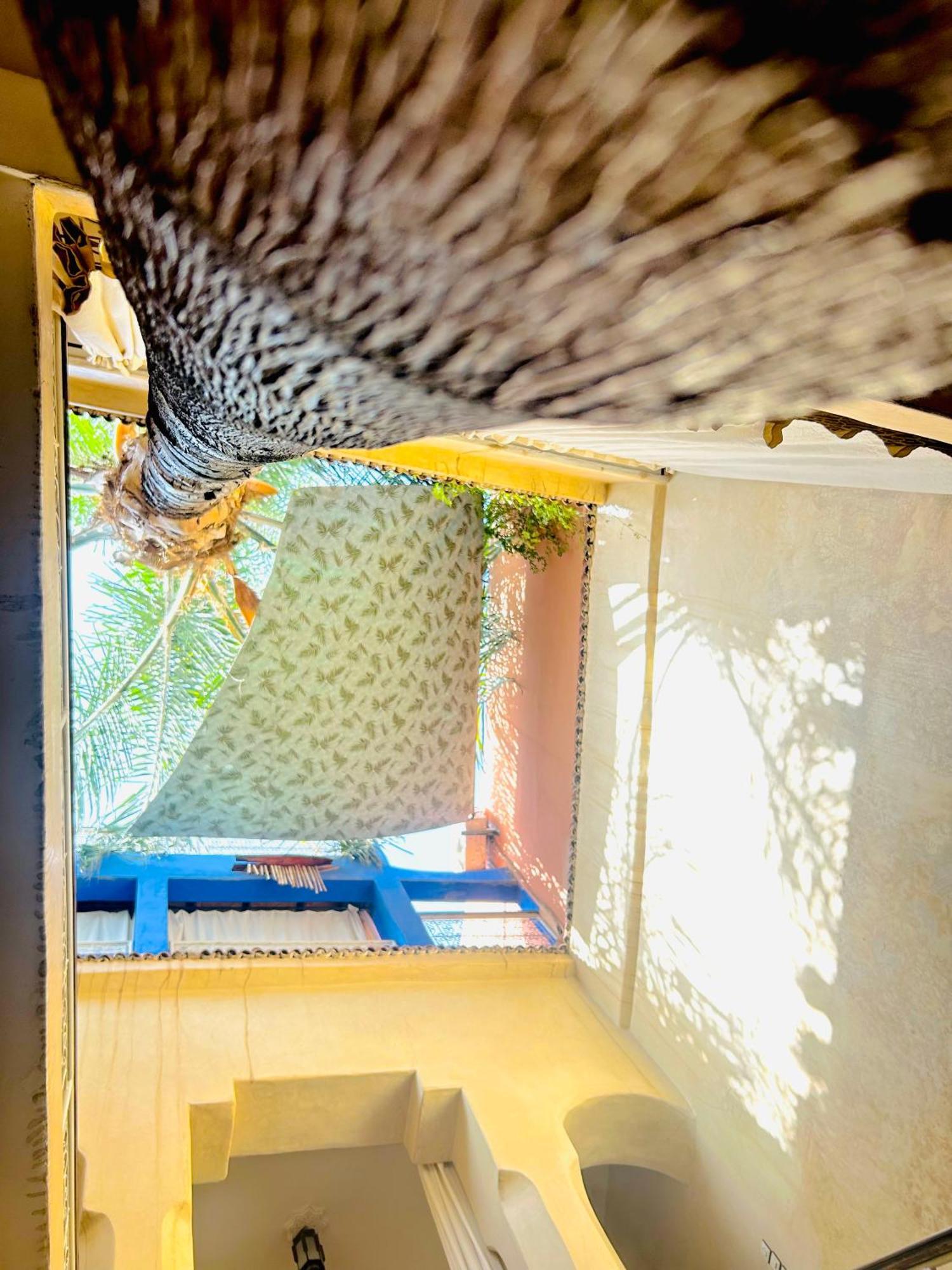 Riad Alamine Marrakesh Exterior photo
